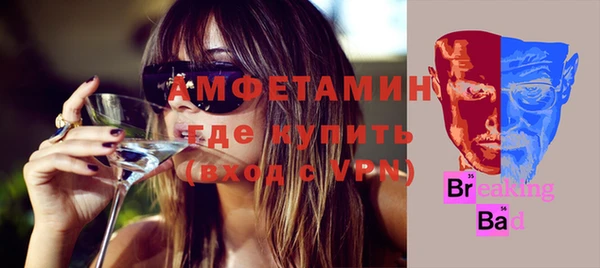 шишки Гусь-Хрустальный