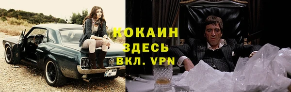 шишки Гусь-Хрустальный