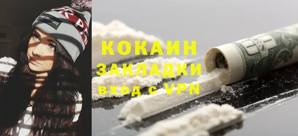 шишки Гусь-Хрустальный