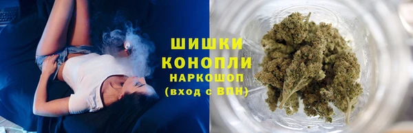 шишки Гусь-Хрустальный