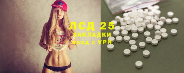 шишки Гусь-Хрустальный