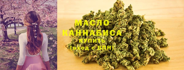 шишки Гусь-Хрустальный
