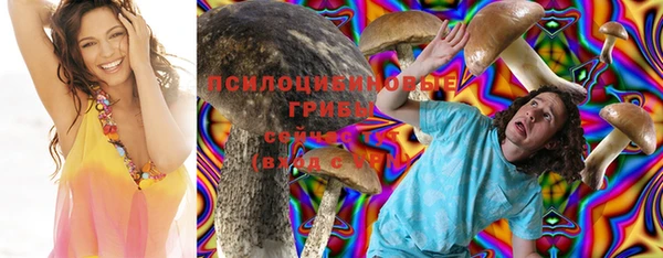 дживик Гусиноозёрск