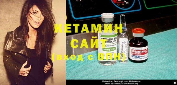 шишки Гусь-Хрустальный