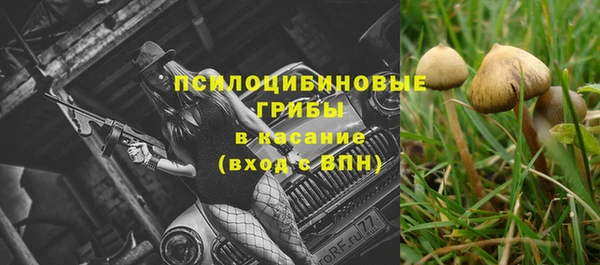 дживик Гусиноозёрск
