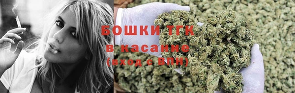 винт Гусев