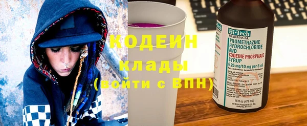 шишки Гусь-Хрустальный