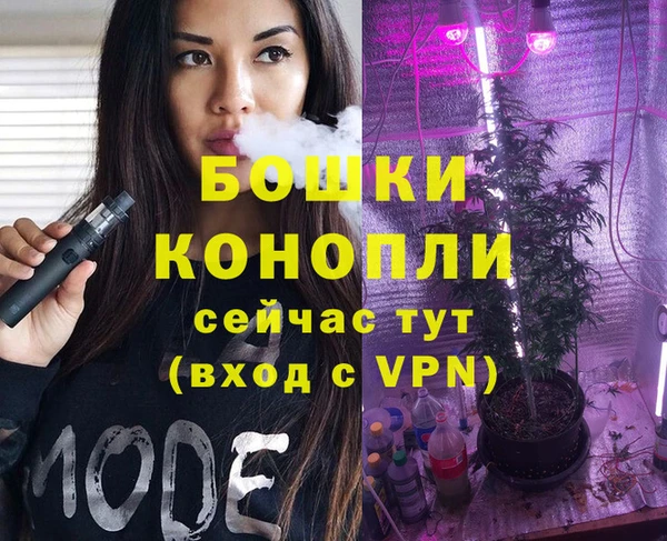 шишки Гусь-Хрустальный