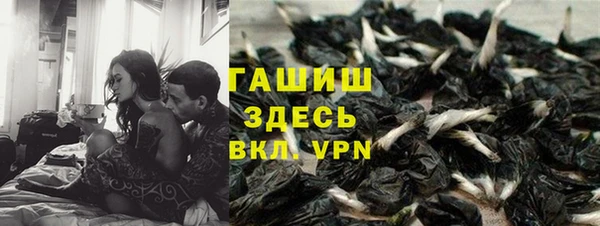 винт Гусев